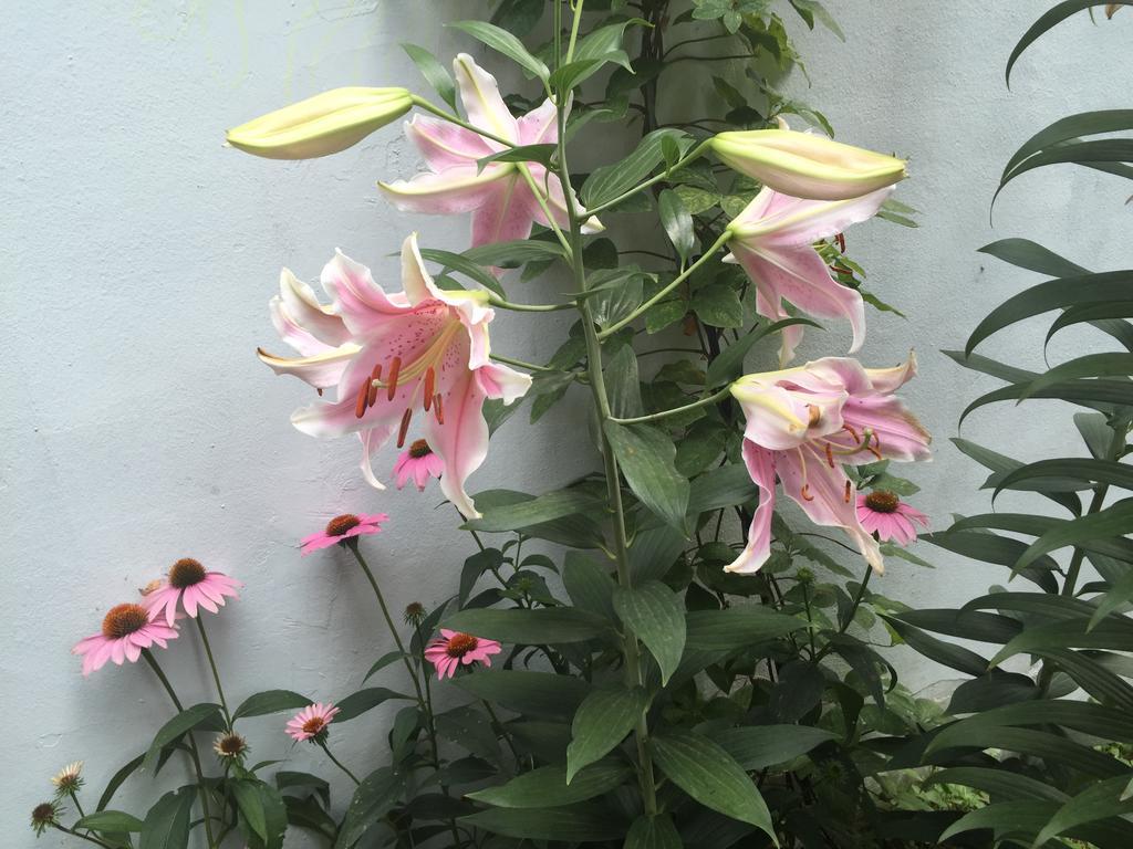 Duri Guest House Seoul Bagian luar foto